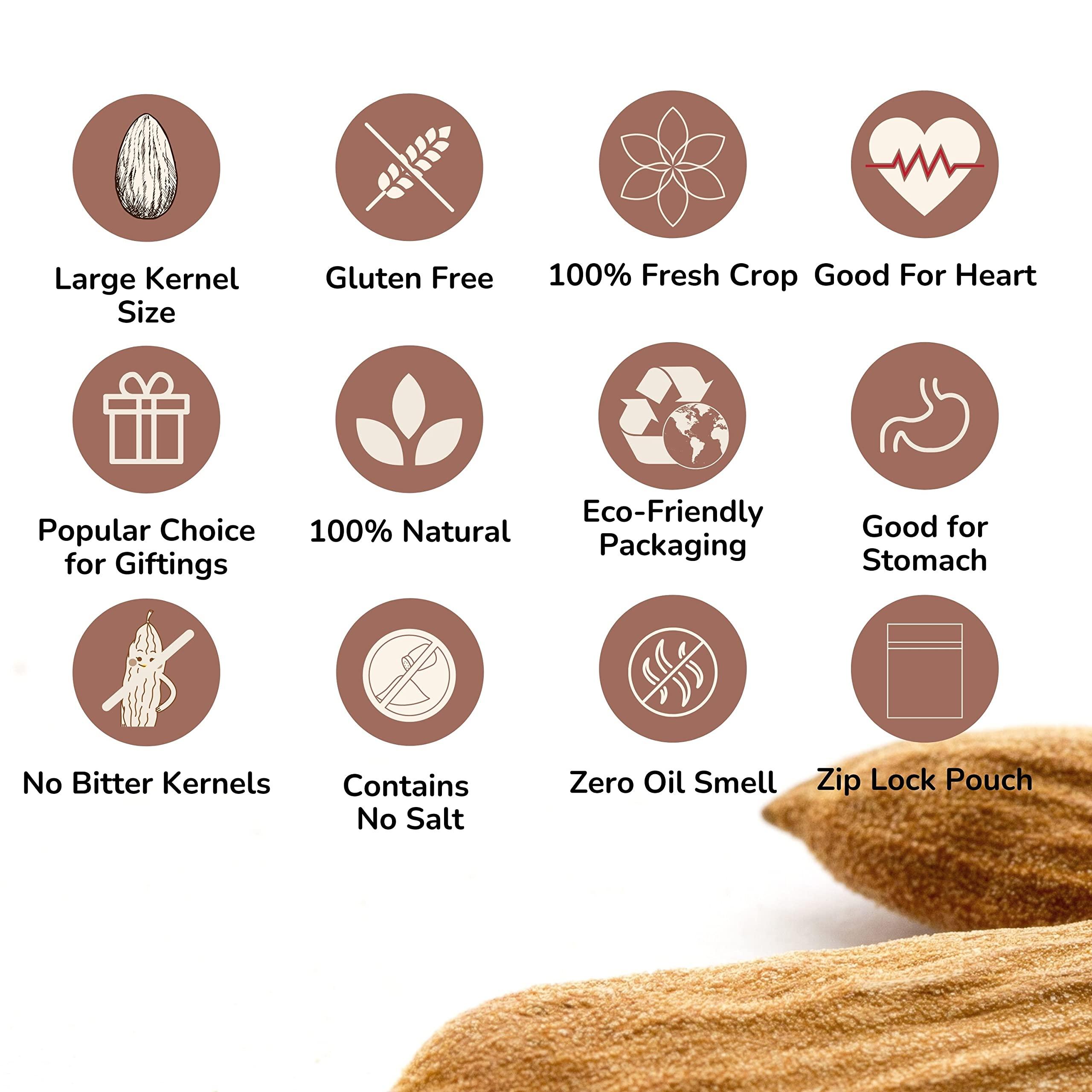 Sindhi Sindhi Dry Fruits Australian Badam, Sanora Badam, Known as Spanish Almonds, Raw Eat Fresh Almonds, Tasty and Oily 100% Natural and Large Size, 500 Grams