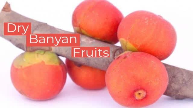 SS520 SS520 Dry Banyan Fruits 400g. Bargad phal Vat Phal Aalam Palam Bargad Fal Indian Fig Marri Udala Fruit