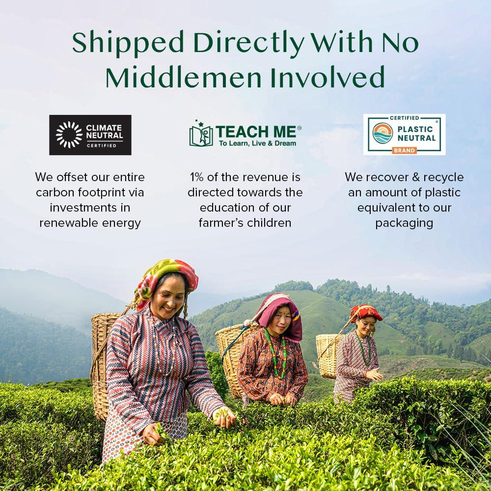 VAHDAM VAHDAM, Green Tea From Himalayas (50 Green Tea Bags) Non GMO, Gluten Free, Naturally High Grown | Whole Loose Leaf Tea Bags | Resealable Ziplock Pouch