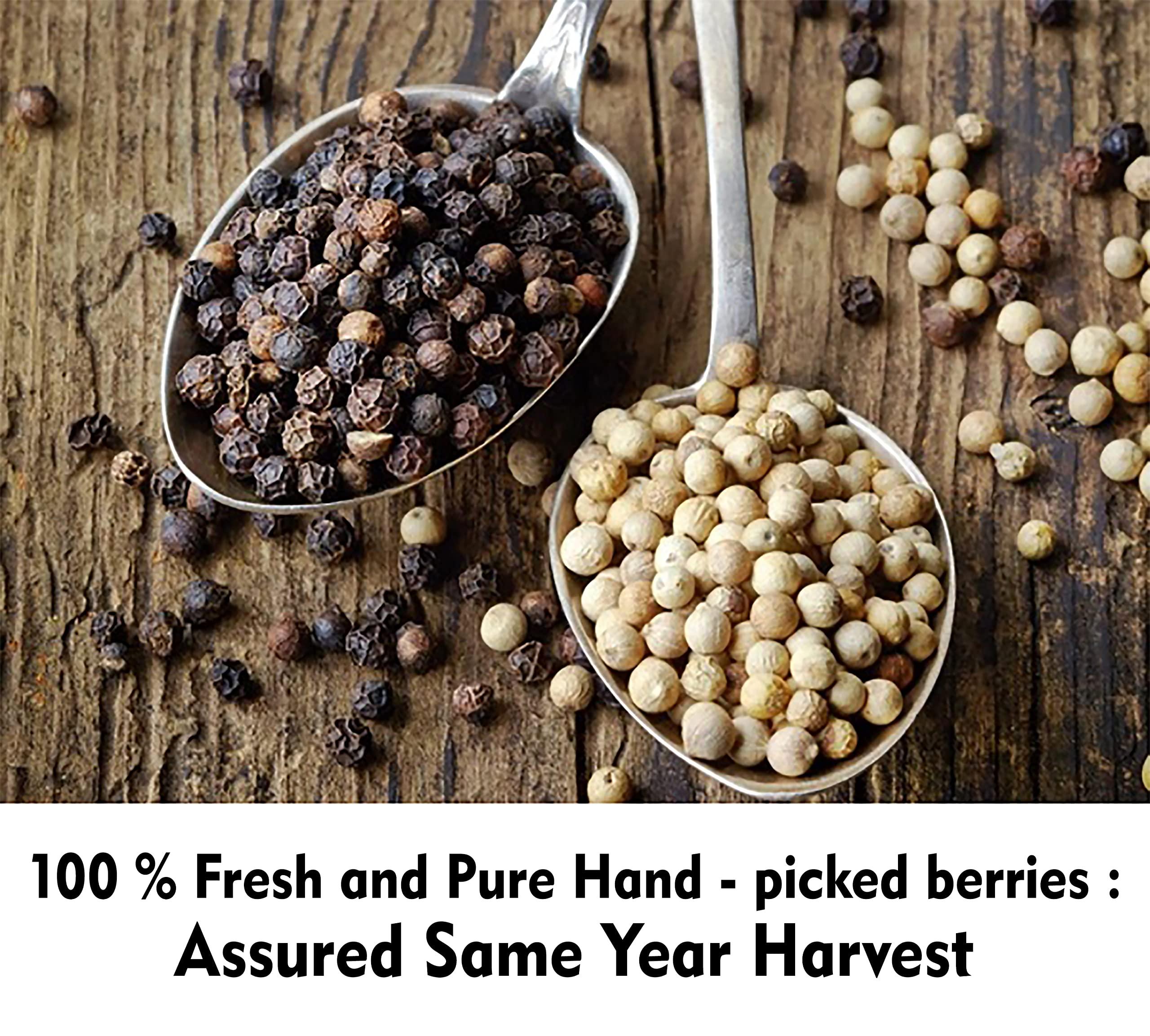 Aranyaka Aranyaka Kolli Hills White Pepper Whole 250g| High Range White Peppercorns| Bold | Directly Sourced from the Tribes of Kollimalai |100% Natural origin | Pesticide Free |Sabut Safed Mirch, 250 gm|