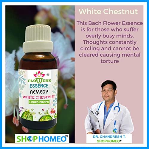 Shop Homeo & Herbal White-Chestnut 60ml - Bach Flower Remedies prepared from the Organic Concentrate (NOT A HOMEOPATHIC MEDICINE)