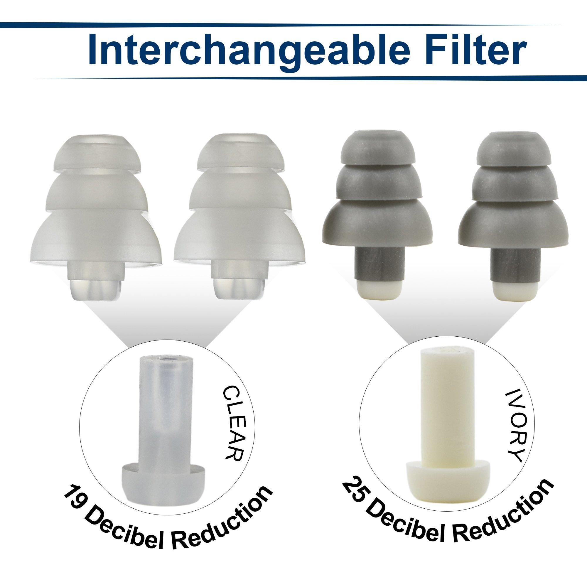 Rave Ear Plugs Rave High Fidelity Ear Plugs: HiFi Hearing Protection for Music, Concert; Noise Reducing Earplugs Help Stop Tinnitus; Ear Buds Filter Noise for Ear Protection (Black Case) (2 Pairs - 19 / 25 Decibel)