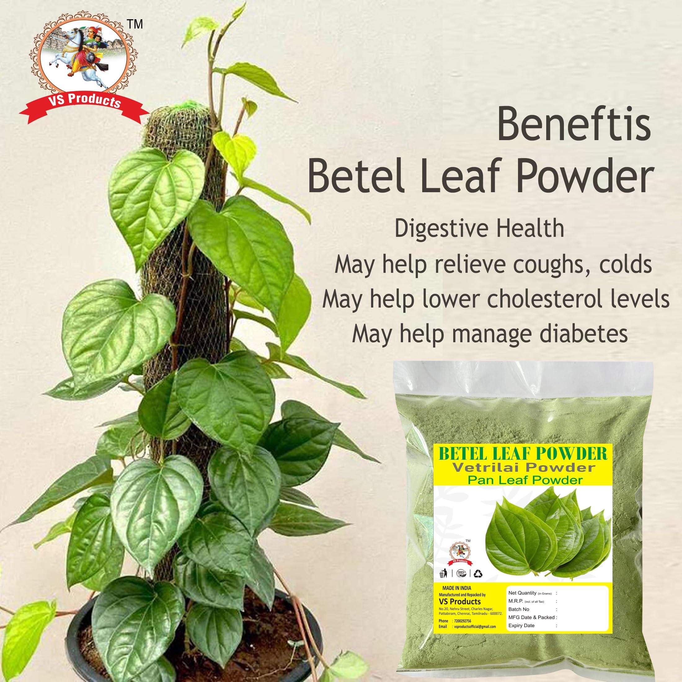 VS Products VS Products Betel Leaf Powder 800g, Paan Leaf, Vetrilai, Banarasi Paan Powder (Pack of 8 x 100g)