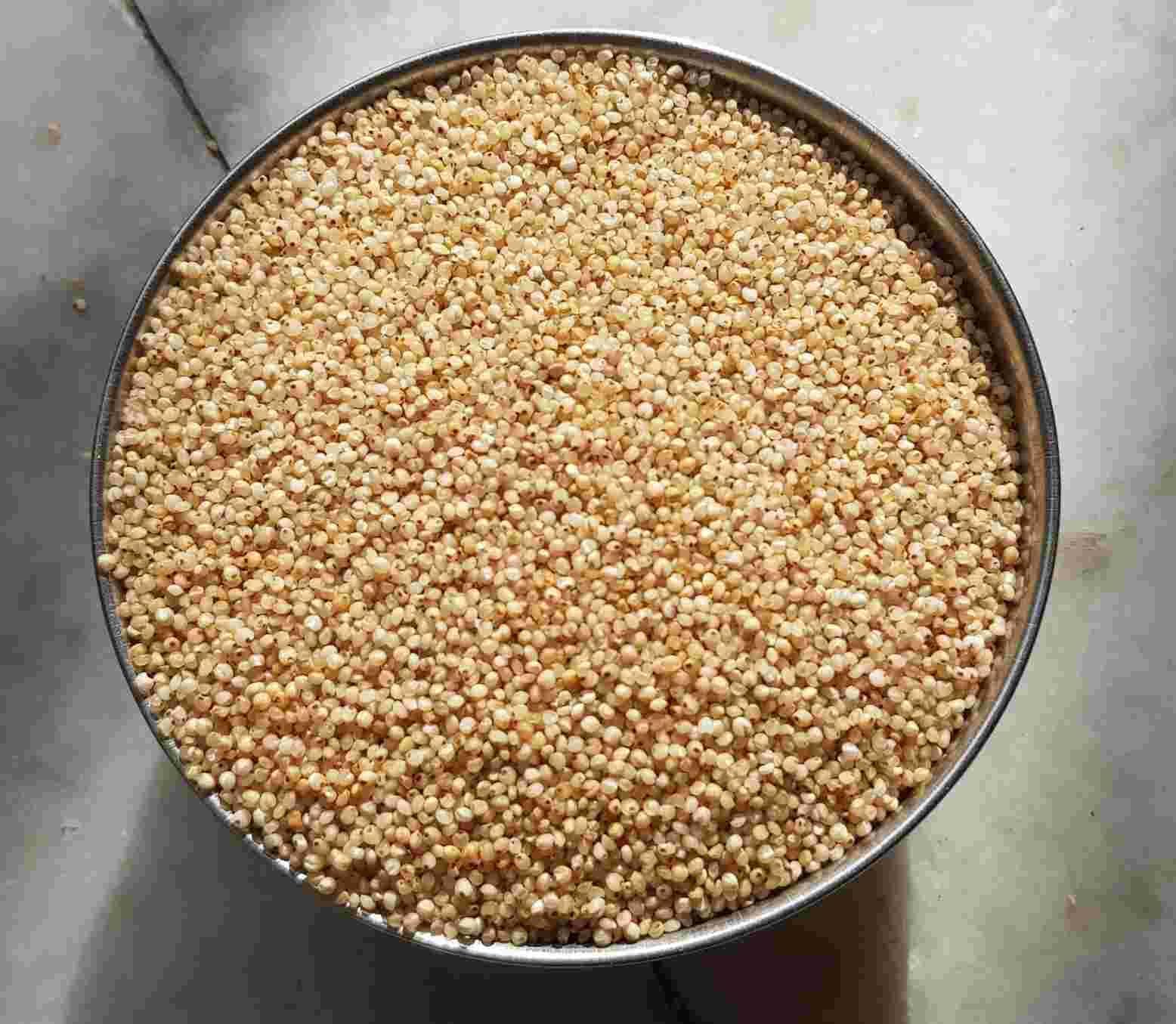 Youpick Aplenty Samak Chawal 400g | Sama Rice For Fast | Samvat Ke Chawal | Barnyard Millet | Vari | Bhagar for Vrat | Navratri Upwas Rice | ( / )