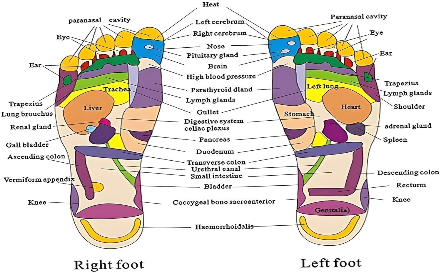 PRAMANTA PRAMANTA [41-42] Wooden Acupressure Massager Slippers for Acupuncture or Acupressure Therapy, Health Care Therapeutic Great Relaxing Slippers for Men and Women (1Pair)
