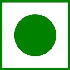 neotea Neotea Green Tea Leaves Original All-natural Green Tea with100 gm