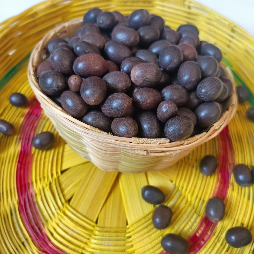 Magic Providers Magic Providers Original Kamal Gatta | Raw Lotus Seeds | Tamara Ginjalu Seeds | Thamarai Vidhai | Makhana Seeds for Laxmi Pooja, Mala & Havan Pack of 5