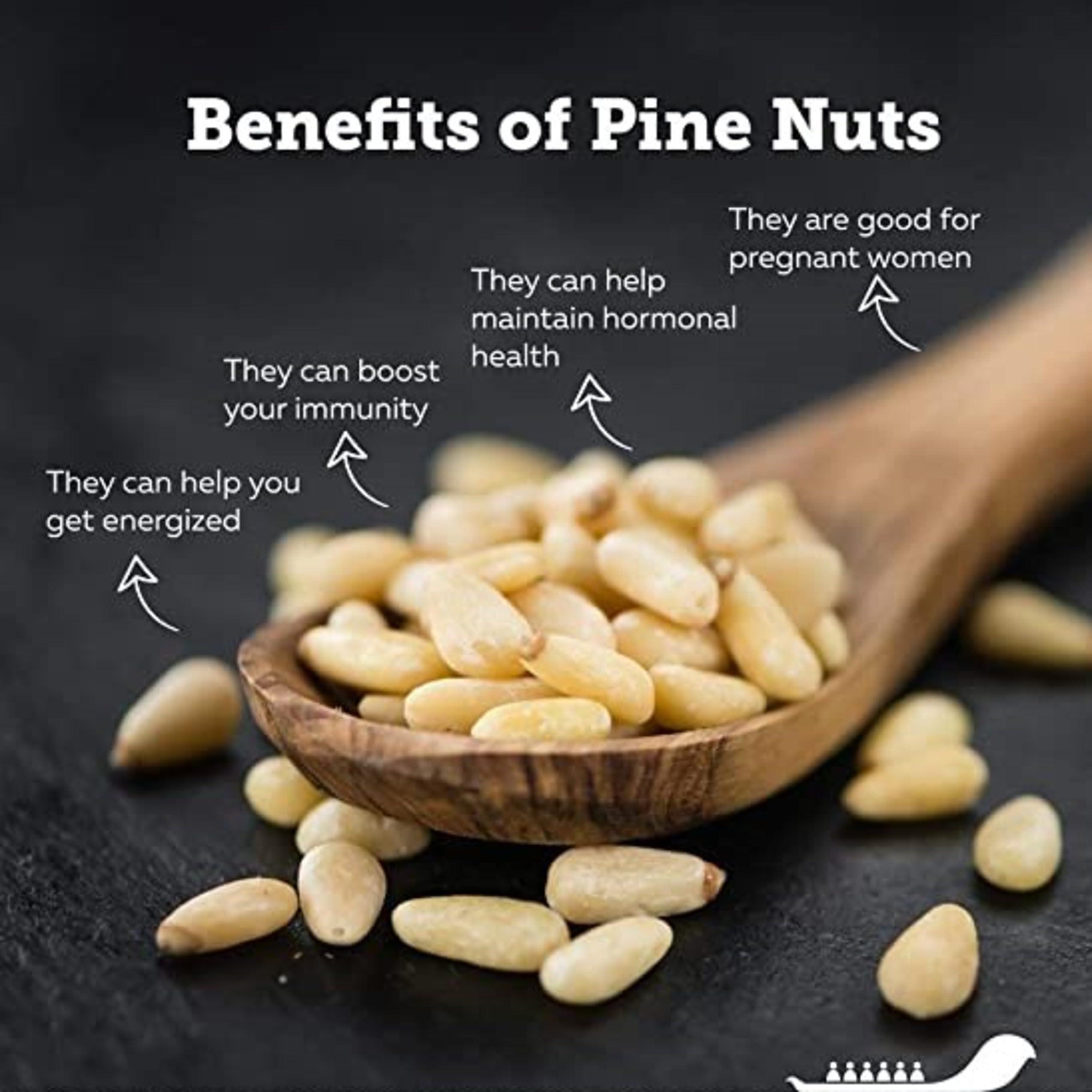 Avlokan Avlokan Premium Pine Nuts A Grade Jumbo Chilgoza With shell Dry Fruits (100gm)