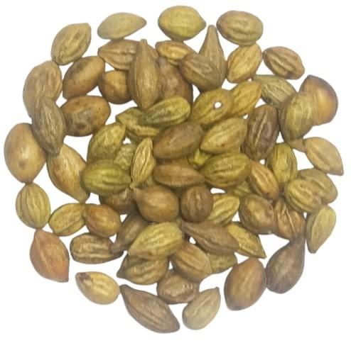 BUDHAN PRODUCTS INC BUDHAN Karakkaya / Yellow myrobalan / Harad / Kadukkai / haritaki / Inknut / harde whole / terminalia chebula / Aralu / Inknut / Harar 500gm pkt