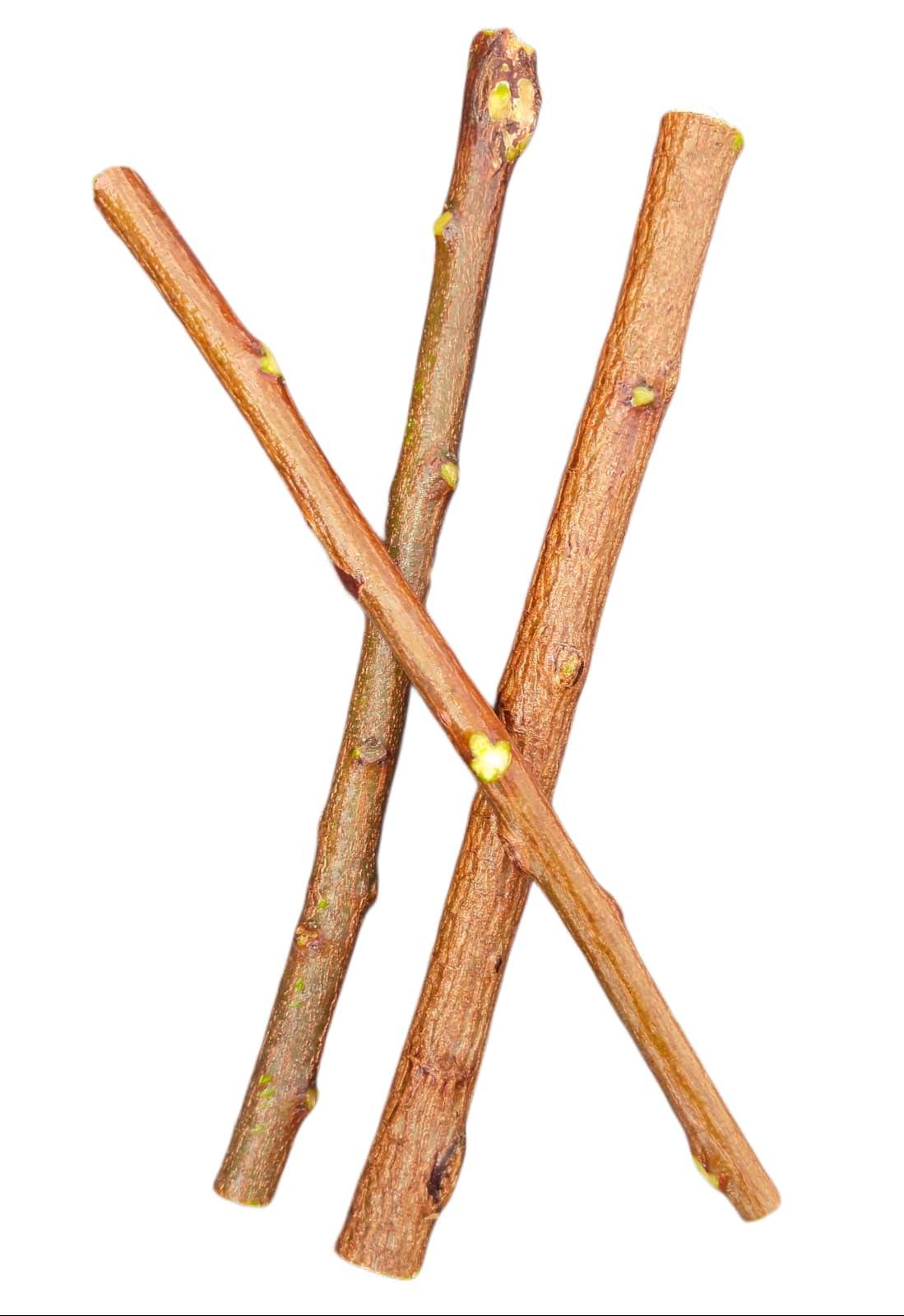 RR Enterprise Ayurvedic Natural Organic Neem Datun, manual Toothbrush Nim Tree Twigs Chew Sticks for Brushing Teeth Removes Bad Breath, Relieve Tooth Ache,Packof20Pieces