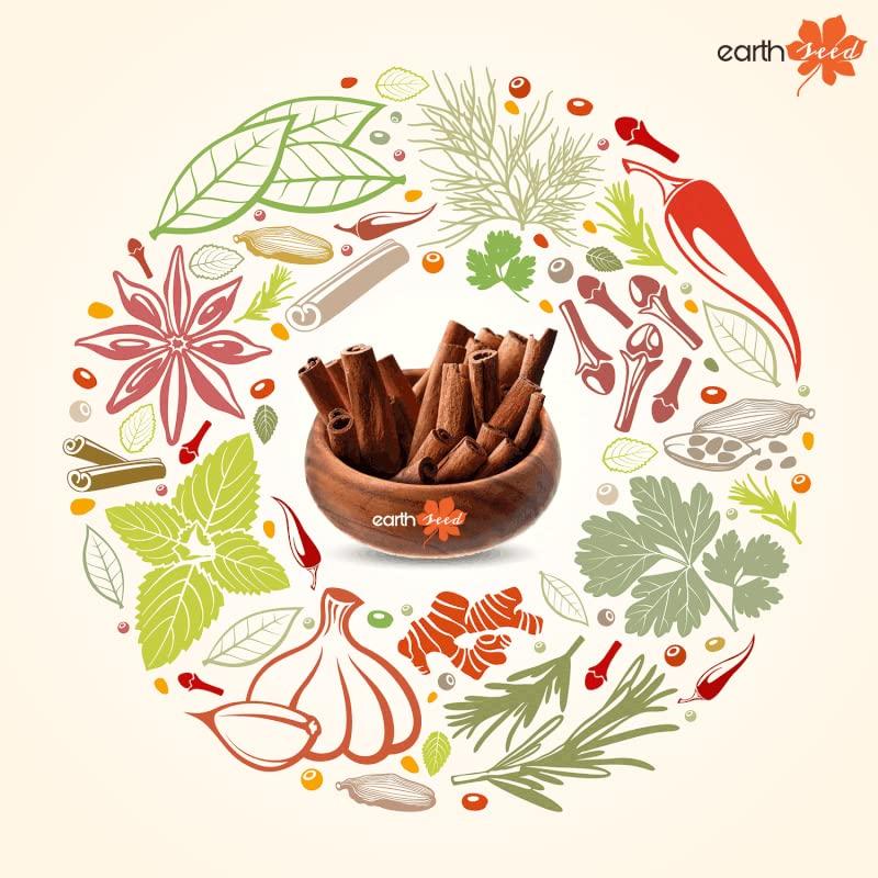 Earth Seed Earth Seed Cinnamon Bark Dalchini Whole Spice Healthy Delicious & Flavourful Khade Masale Hygienically Packed No Preservatives (15 Pcs, 25 gm)