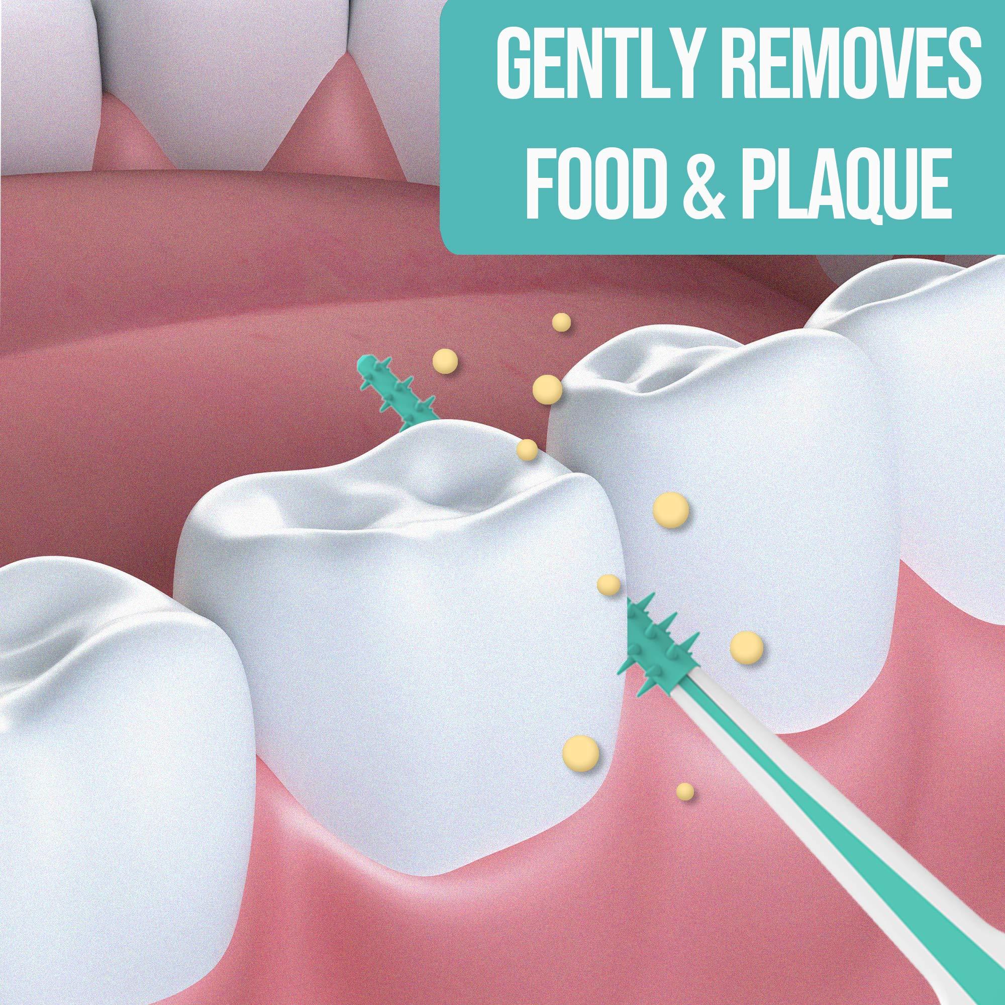 Dr. Emma Dr. Emma Dental Picks Mint Brush Picks 100Ct/Pack, 2 Packs (200Ct)