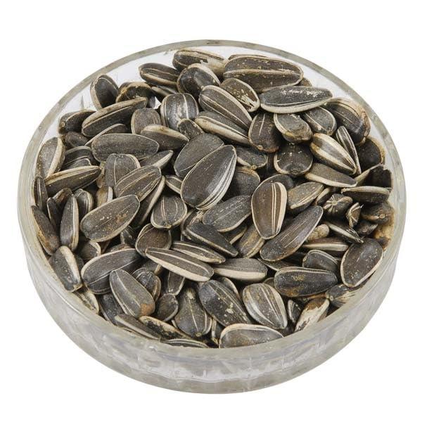 Dry Fruit Wala Dry Fruit Wala Sunflower Seeds 500 GMS