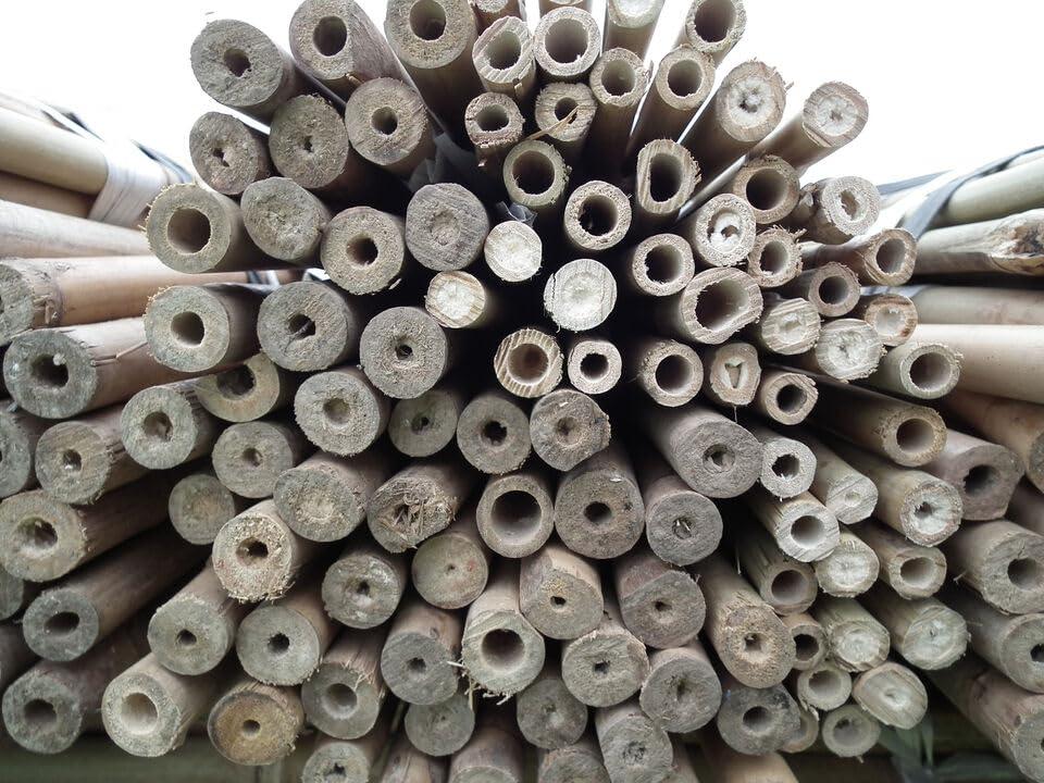 tclpvc TCLPVC Bamboo Wood Stick for Self Defence, Stick for Exercise, Stick for Martial Arts, Gatka Stick (6 Ft, 10 Pieces)