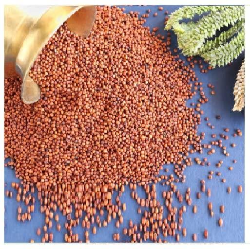 Veganic Veganic Ragi Edible Seed | Finger Millet | Whole Grain | Kelvaragu | Nachni | Ragulu/Aariyam/Maduva/Panji Pullu (1800)