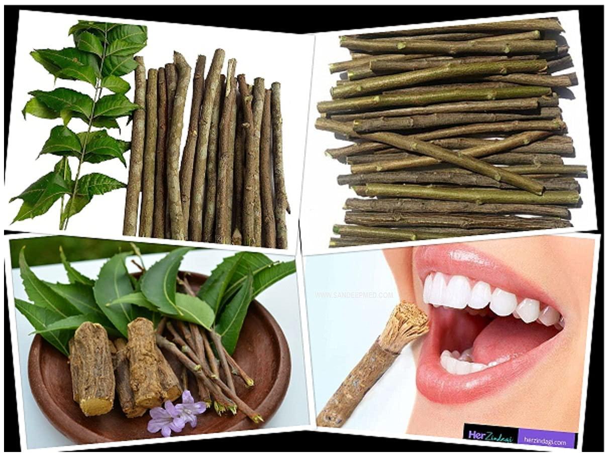 COCAME Fresh Organic Neem Datun Chew Sticks Neem Twigs for Better Tooth, Gems, Fresh Breath and Health/Neem Sticks/Vepa Pullalu / - (50 Pc)