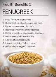 SAARA SAARA Fenugreek Methi Seeds Powder for Hair Growth - 50 Grams, Eating, Diabetes (Methi Dana Powder, Menthi, Fenu Fiber, Menthulu Mathi Vendayam Maithi Powder Pack of 1 X 50g)