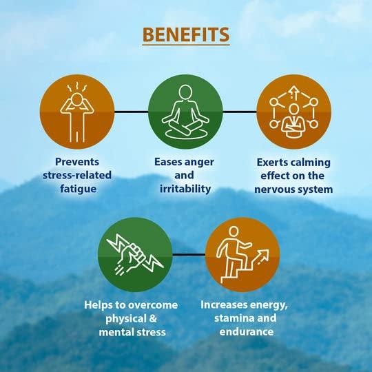 LONGIVITAL Longivital tablet contains Ashwagandha, Kashmiri kesar, Shatavari. Which helps in Improve Energy Levels and Reduce Stress, Mind Relax Pills