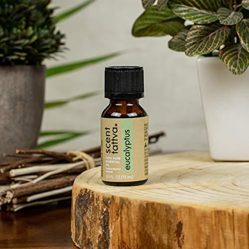 Scentattva.com Scentattva.com Eucalyptus Essential Oil | Pure and Natural | Aromatherapy, Diffuser, Humidifier | 15 Ml