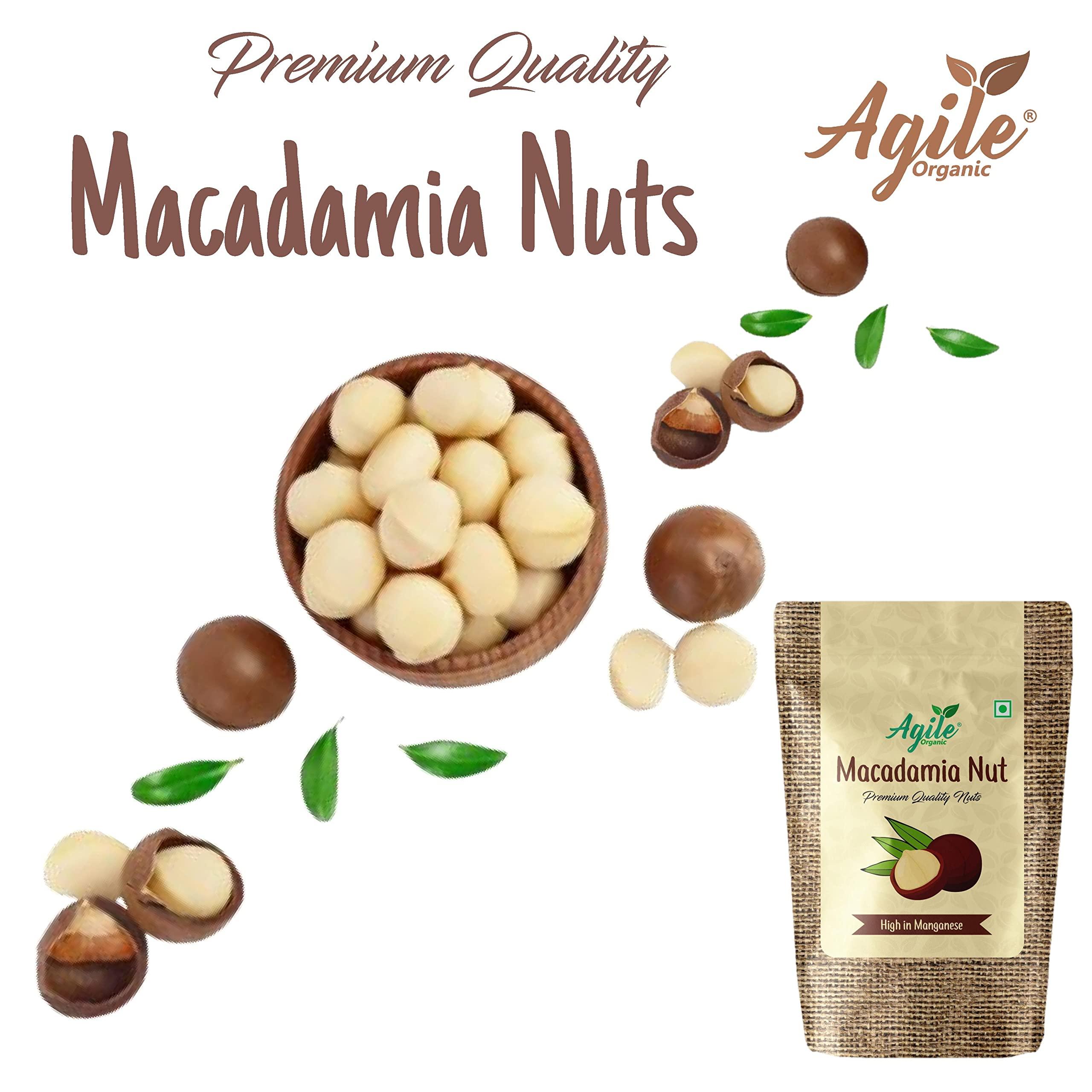 Agile Organic Agile Organic Premium Jumbo Hazel Nuts & Macadamia Nuts Combo | Turkish Hazelnut 100 Grams & Macadamia Nuts 100 Grams