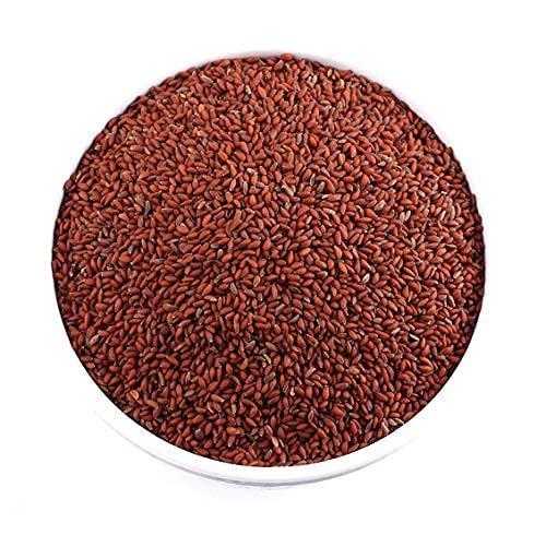 Dry Fruit Hub Dry Fruit Hub Halim Seeds 250gms, Halim Seeds Organic For Eating, Aliv Seeds, Aliv Seeds For Eating, Halim Seed, Garden Cress Seeds