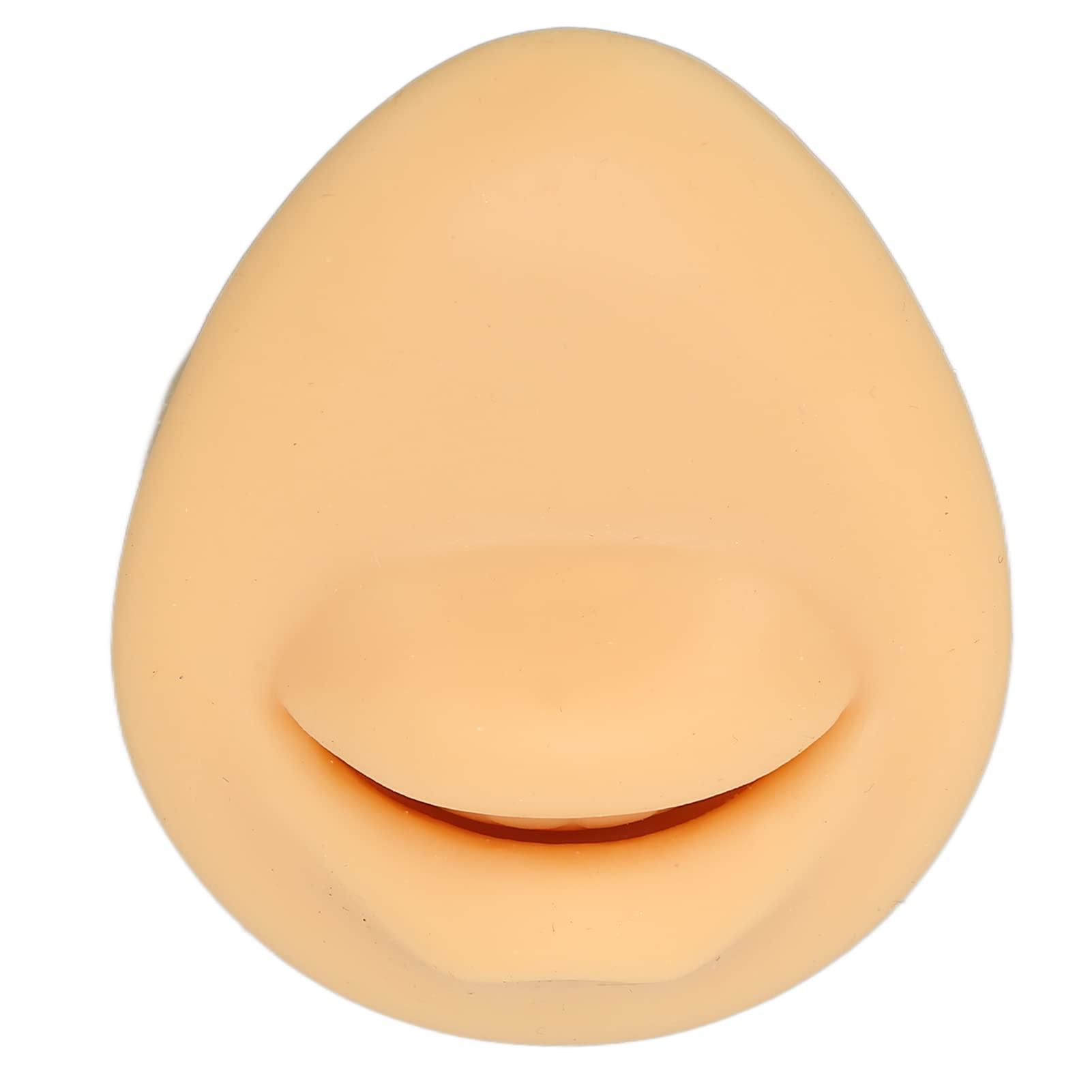 Generic Generic Fake Mouth Model, Lifelike Three Dimensional Teaching Tool Human Mouth Model Flexible for Body Part Display\'
