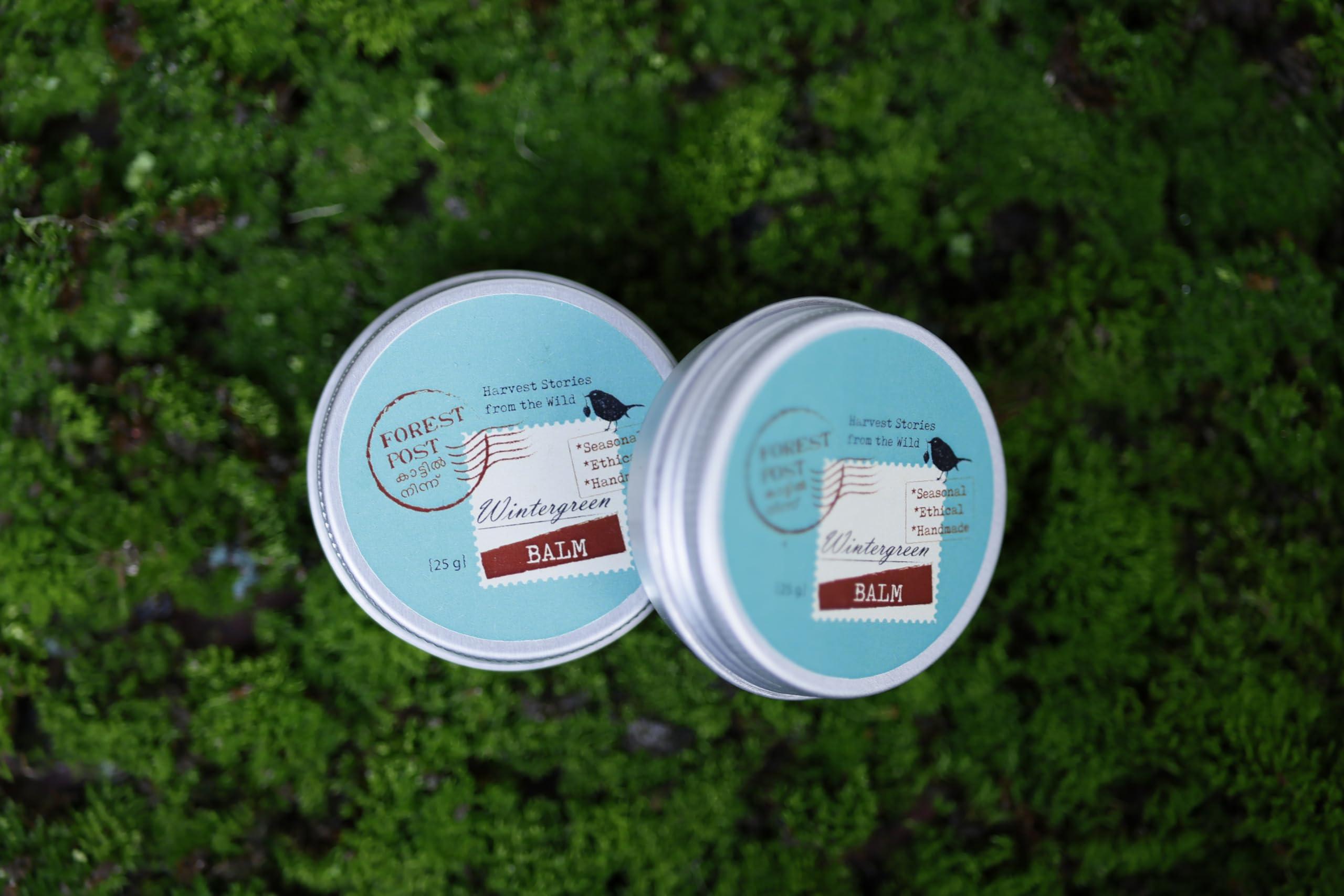 Forest Post Forest Post Wintergreen Beeswax Balm