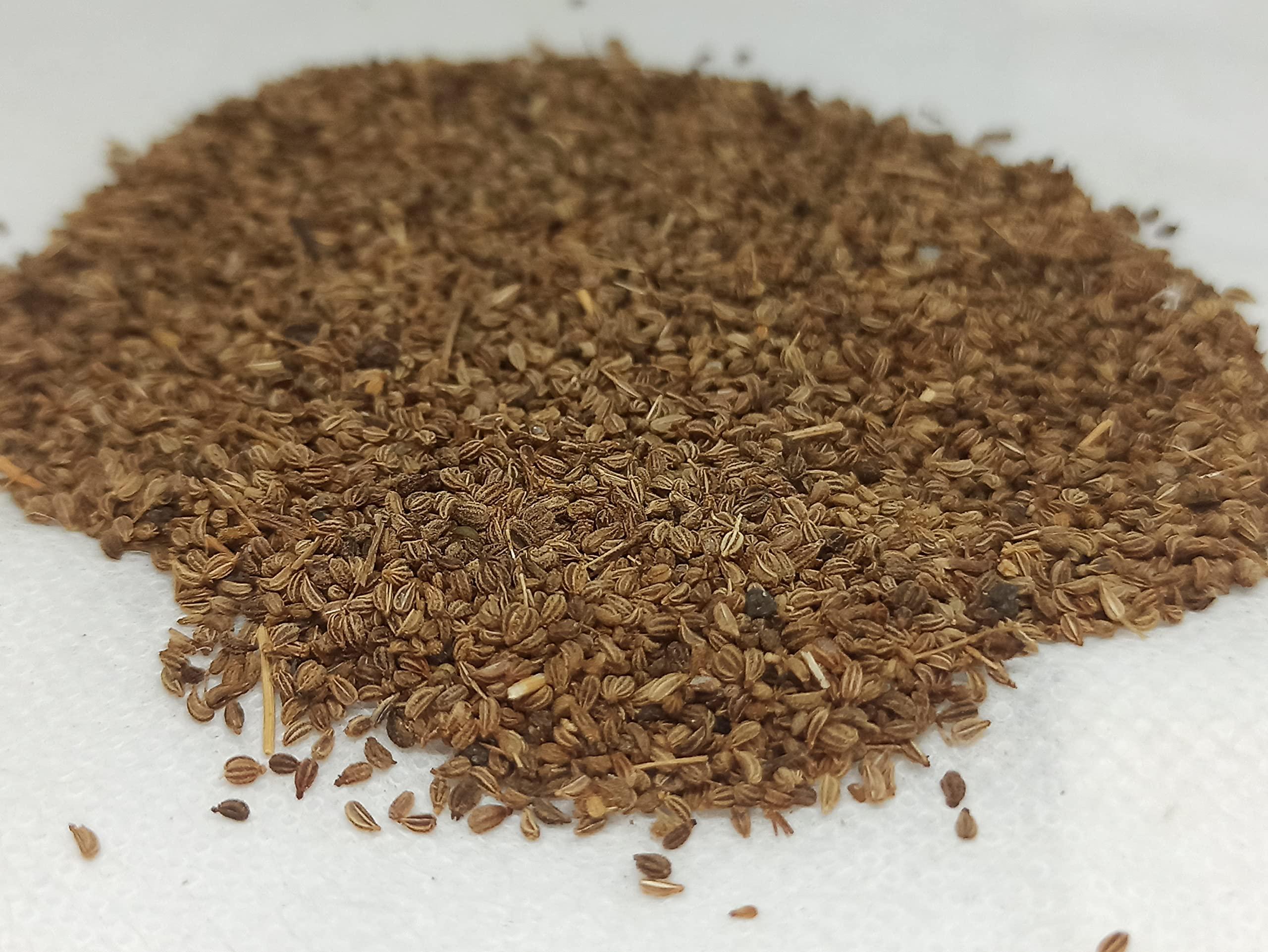 Generic NATURALIFES-*OMAM*- / Ajowan Caraway Dried / I Trachyspermum Roxburghianum I / Khurosani OMAM I / Khurosani Ajowan Seeds I Ayamodakam (250 Grams)