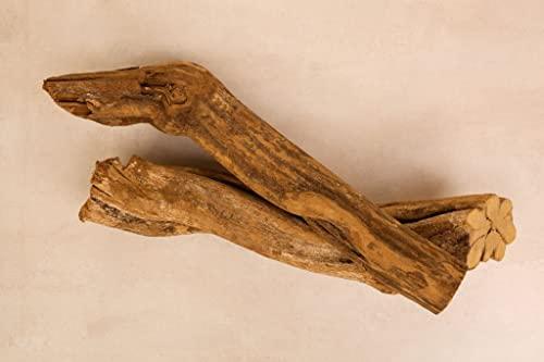 SAI HERBS SAI HERBS Banisteriopsis Caapi Siddha Extract Powder - Ayahuasca Root Siddha Extract Powder - Caapi Root Unani Siddha Powder - Pure & Natural (10 Grams)