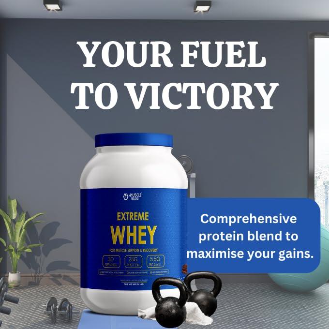 MUSCLE RELOAD Muscle Reload Extreme Whey Protein Blend With Isolate & Hydrolysate |25g Protein I 5.5g BCAA\'S | 4.5g Glutamine with Digezyme 50mg - (Milk Chocolate, 500G) 1.1LBS with 100g Creatine Free