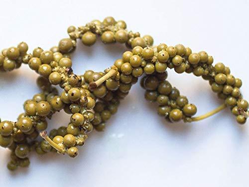 lotus Lotus Green Pepper Corns Preserved in Brine Solution | Premium Combo Pack | Natural | Raw Haree Mirch | 600g (3 Pack of 200g)