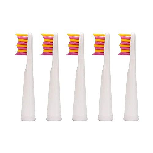 YUNCHI Toothbrush Replacement Heads Compatible with Teeteck YUNCHI Y1 Electric Toothbrushes 5 Pack - Pink