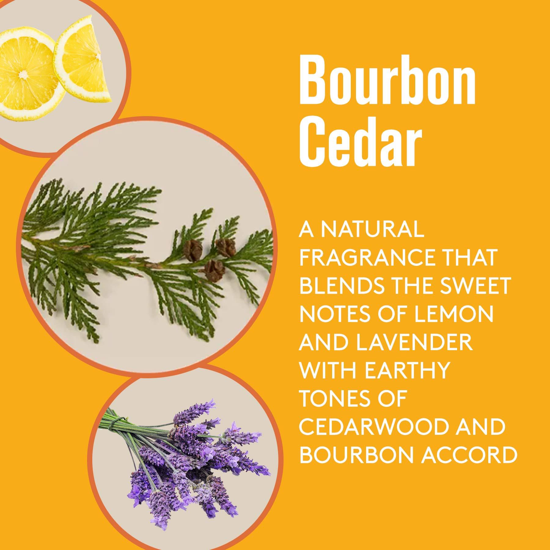 Olivina Men Olivina Flash Foam Shave Cream Bourbon Cedar