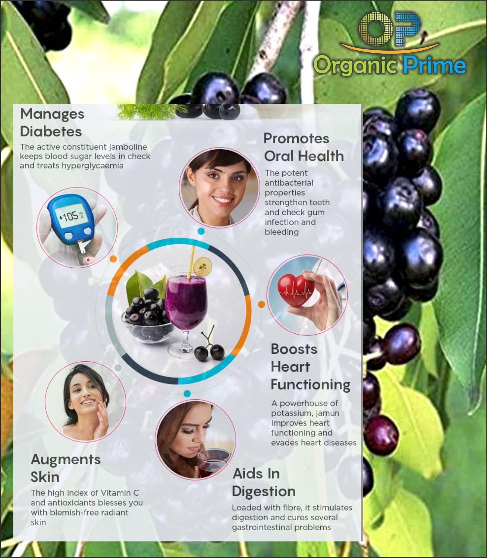Organic Prime Organic Prime Jamun Seeds | Jambu seeds powder for Diabetes Control | Sugar Balance - 100 GM By Organic Prime