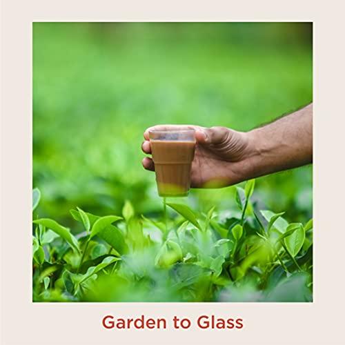 CHAI POINT CHAI POINT Assam Masala Tea 200G | 100% Natural Spices | Single Origin Tea | Premium Masala Tea | Premix Tea | Chai Patti | Masala Chai | Assam Tea Powder