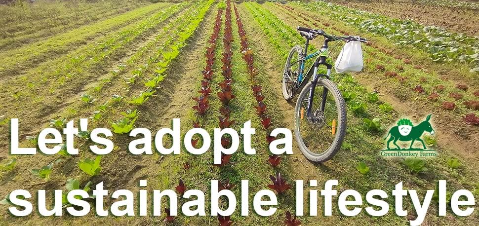 GreenDonkey Farms GreenDonkey Farms Desi Tomato Puree, 600g. Three bottles of tomato puree 200g each.