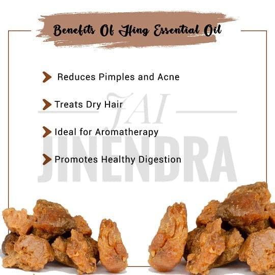 Timios Timios Banana and Honey Stars | Healthy Snacks for Kids | Natural Energy Food Product for Toddlers | Party Snack for School Children 2+ Years | Pack of 12