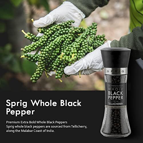S P R I G Sprig World’s Finest Black Pepper | Tellicherry Black Peppercorns | Black Pepper for Cooking,Seasoning & Finishing|No artificial flavors or colours |100% Natural |High Grade Pepper Grinder Mill,100g