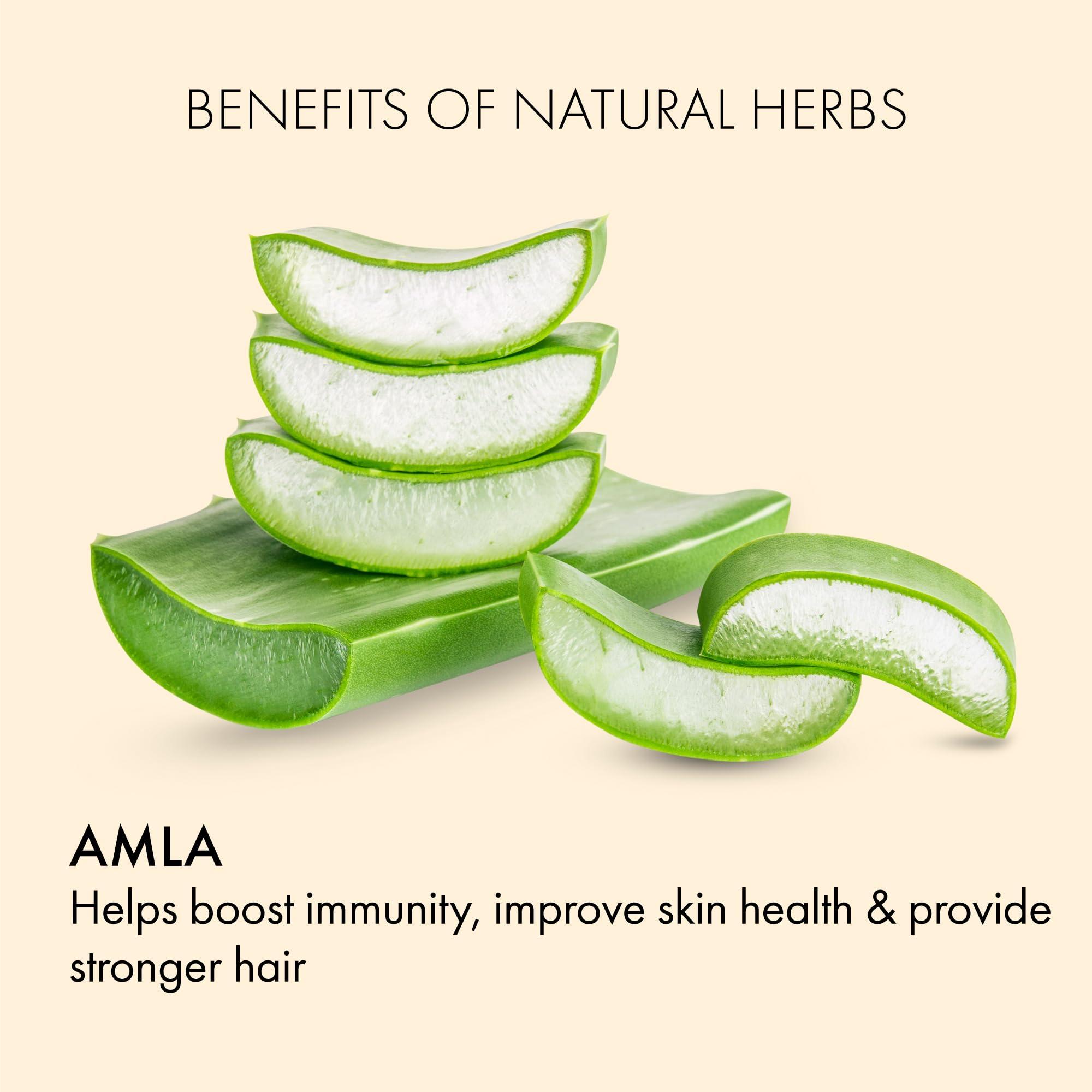 JAI SHREE DHATURE KA TEL Jai Shree Wild Garlic Green Oil Roll-On Super Strong Instant Relief in One Minute - 8ml (30ml free Rrefeel)