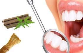 Generic Sonu Organic Fresh Neem Chew Sticks (Datoon) for Healthy Teeth and Gums - 20 Sticks