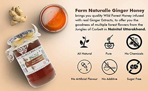 Farm Naturelle Farm Naturelle Healthy Ginger Infused Honey 300gm |100% Pure Honey| Raw & Unfiltered|Unprocessed|Lab Tested Honey In Glass Jar with Engraved Virgin Wooden Spoon