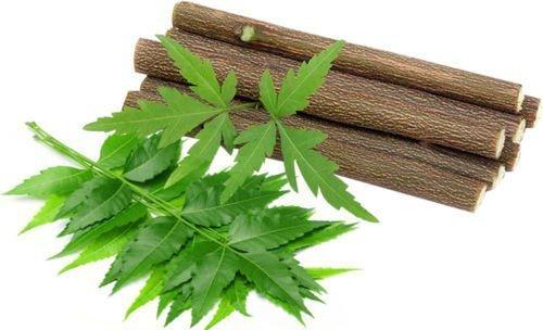 Satguru Satguru Fresh Quality Neem Sticks - Set of 30
