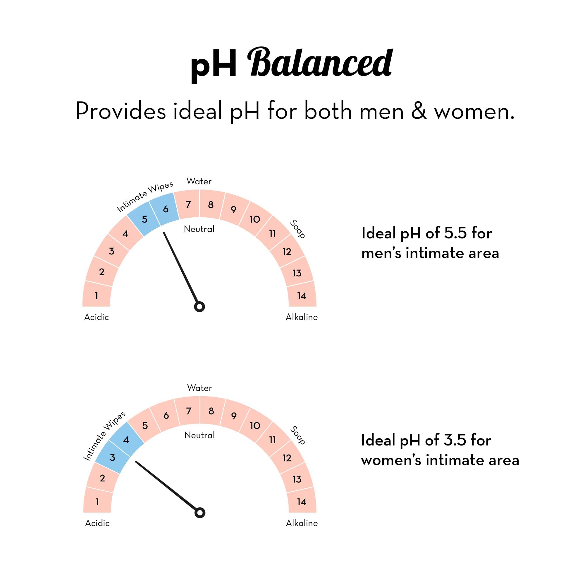 PLUSH Plush Play Intimate Wipes For Women & Men (Pack of 10)