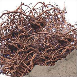 Pmw Pmw - Pippali Mool - Pippalimool - Pippalimul - Piper Longum - Long Pepper Root - Raw Herb - Modi - 1 Kilo - Loose Packed