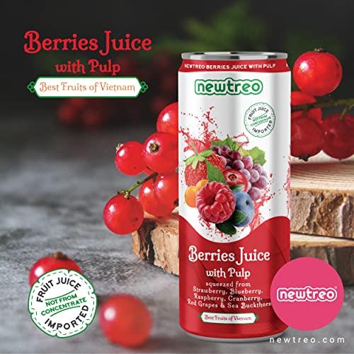 Newtreo Newtreo Berries Juice With Pulp | Imported from Vietnam | Strawberry, Blueberry, Raspberry, Cranberry, Red Grapes & Sea Buckthorn Juice | 12 x 250ml cans | No concentrates or preservatives added