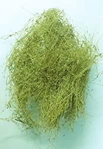 Generic / Parpadagam/Mollugo cerviana/Taph jhad/Grismachatraka -100g - Dhanvanth Herbal Shop