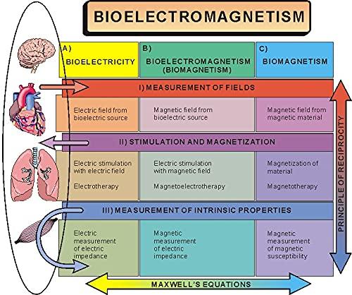 ANCS ANCS Magnetic Therapy Energy Bio Magnet Belts Multiple Pain Remove For Back, Diacetate, Knee,Cervical, B.P, Tonsil Belt