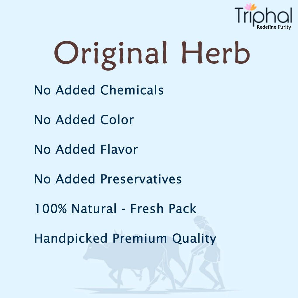 Triphal TRIPHAL Salab Panja/Salam Panja/Marsh Orchid | Original Herb | Fresh Pack (10g)
