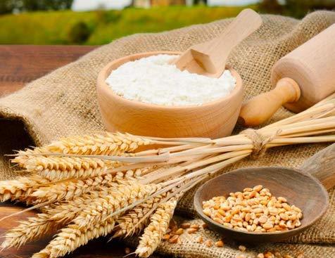 TRUDIET TRUDIET Organic Wheat Maida 450g