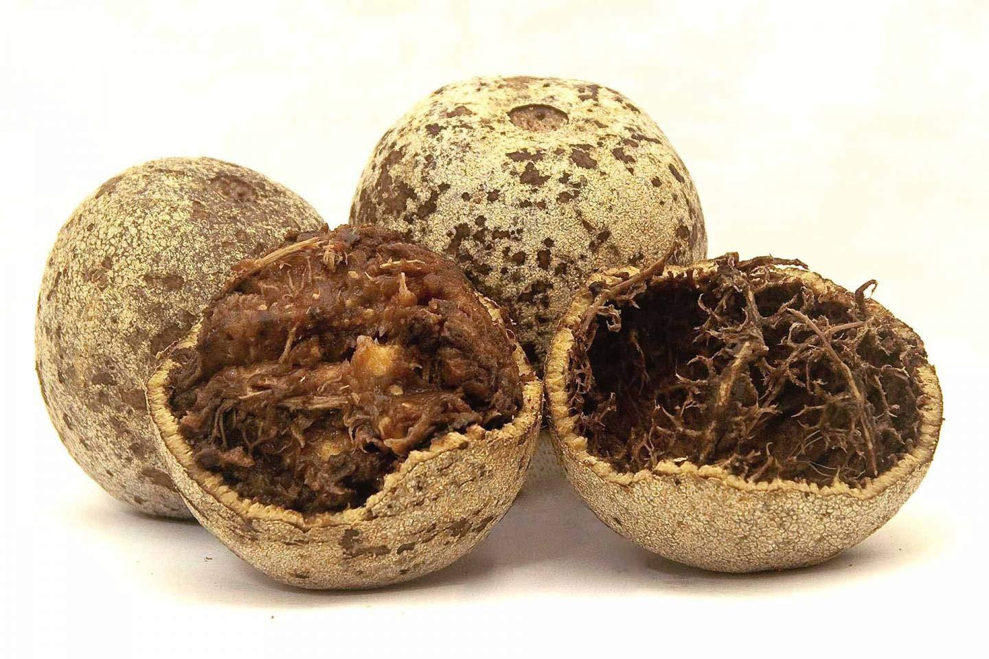 Pmw Pmw - Dried Bael - Maredu - Bilva - aegle Marmelos - Beel - Vilvam - Sirphal Friut - 1 Kilo - Loose Packed